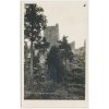 64 - Táborsko, zřícenina hradu Choustník, cca 1928