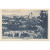 28 - Klatovsko, Rabí, oživený pohled na hrad a město s pasáčkem a ovcemi, 1930