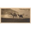 Egypt, Káhira, Eventide in the Desert, No. 15, cca 1920