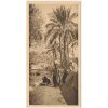 Egypt, A Native Scenery at Marg, No. 27, cca 1920