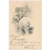 Novoroční přání, koláž, prošlá poštou 1900