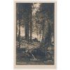 48 - Prachaticko, Šumava, partie u pramene Vltavy, cca 1923