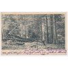 48 - Prachaticko, Šumava, Boubínský prales, partie, prošlá poštou 1903