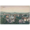 56 - Rokycany, celkový pohled na město, cca 1914