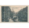 38 - Náchodsko, "Peklo" u Nového Města n. Metují, lesní idyla, ca 1922