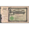 Idaho & Washington Nortern Railroad, akcie $100 - železnice, 1901