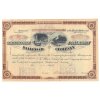 Tennesse & Coal, Tron Railroad Company, akcie $100 - železnice, 1886