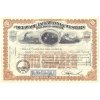 The Delaware, Lackawanna & Western Railroad .., akcie $100 - železnice