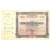 Minesota, Dakota & Pacific Railway Company, akcie $100 - železnice