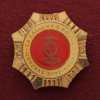 ČSSR, Svazarm, Za zásluhy o rozvoj organizace 1951, smalty, zavírací jehla, zlatý stupeň, stav 1/1
