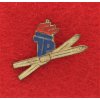 DDR, sportovní odznak Zimní hry 1955, plech, zavírací jehla, stav 1/1