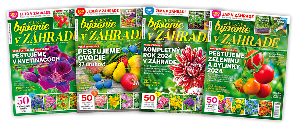 PBZ_4_titulky_202407_s1000_WEB
