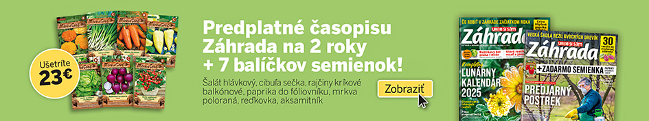 Záhrada