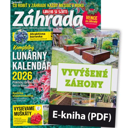 ZAHR plus e kniha 202511