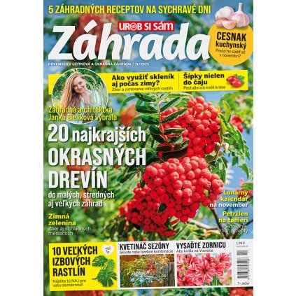 Zahrada 2025 11 v800