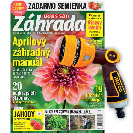 ZAHR plus pistol 202602