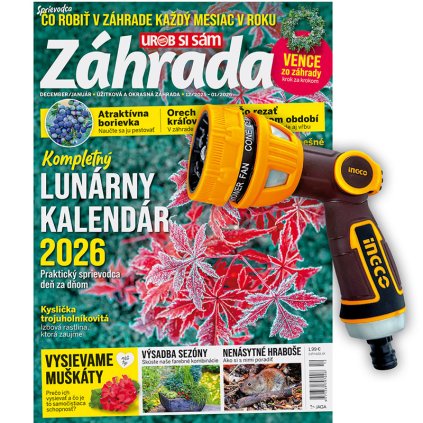 ZAHR plus pistol 202511