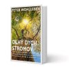Dlhy dych stromov web v800