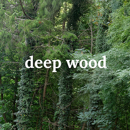ZENZ&nbsp;Deep&nbsp;Wood&nbsp;– výživa pro suché, husté a kudrnaté vlasy