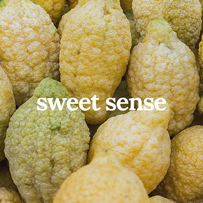 ZENZ&nbsp;Sweet&nbsp;Sense&nbsp;– objem, hebkost a lesk s letní vůní