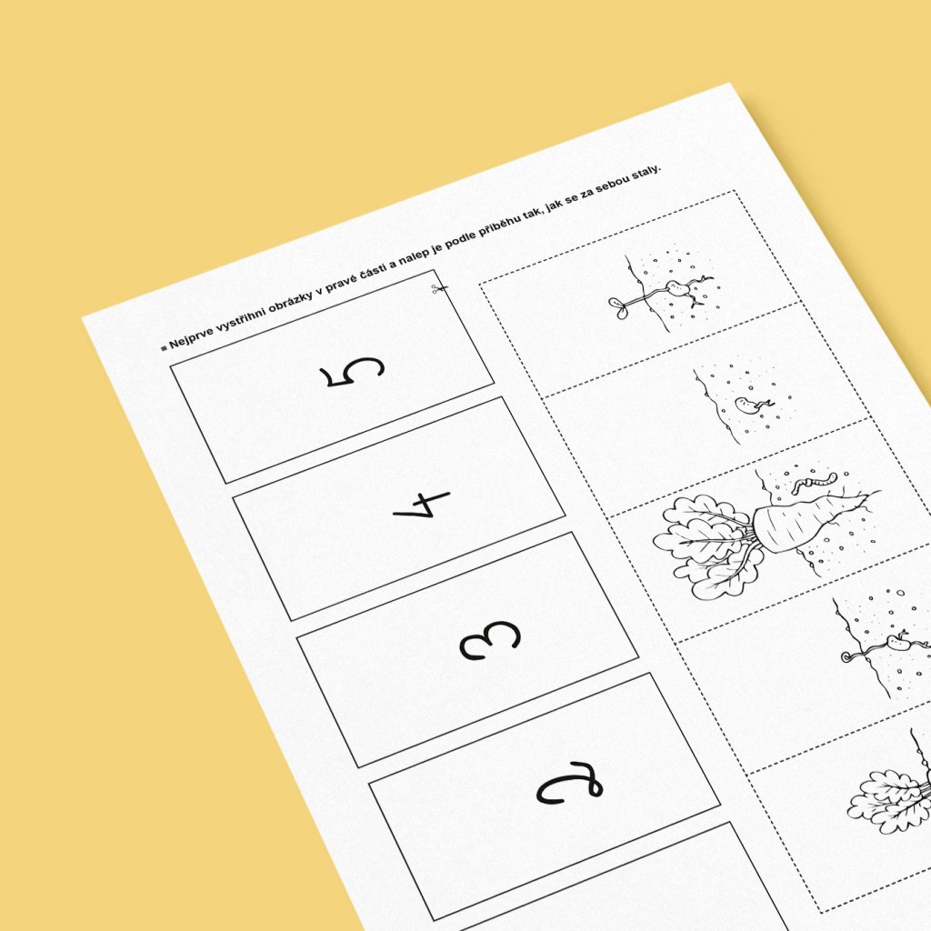 Od semínka po plod (Jak klíčí a roste řepa) – logická posloupnost