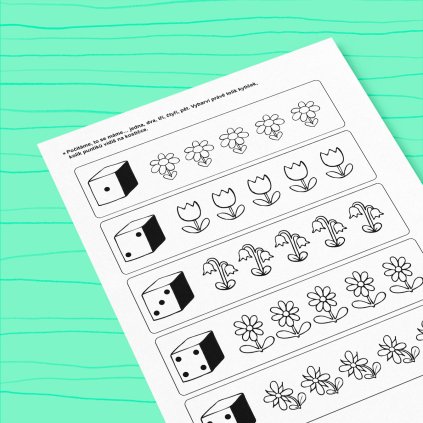 Počítáme do pěti – předmatematické představy