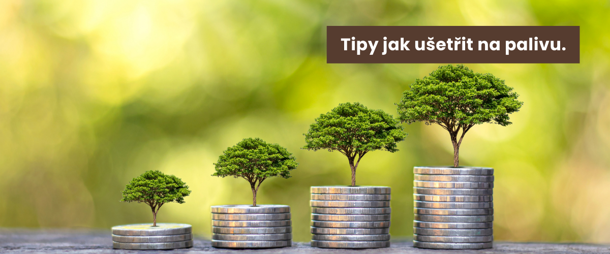 Došlo dřevo? Nekupujte suché. | Tipy jak ušetřit na palivu.