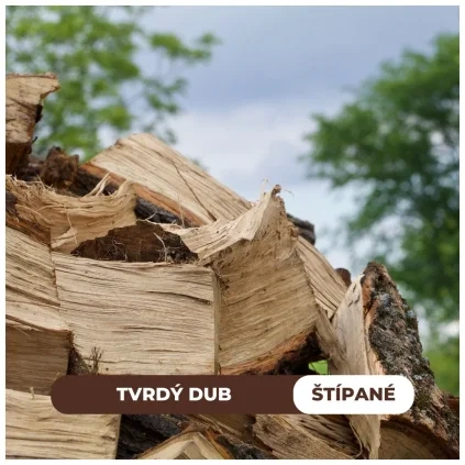 Dub štípaný