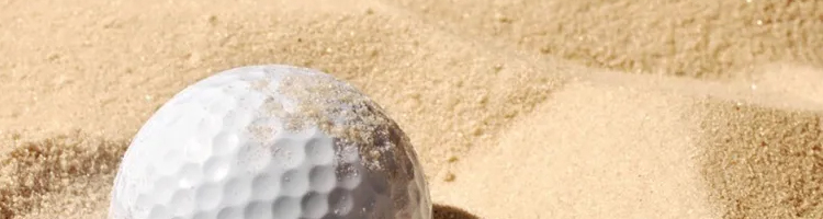 UL2020_sand1_750