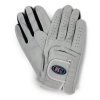 42247 ts glove