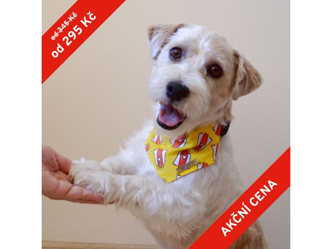Psí šátek