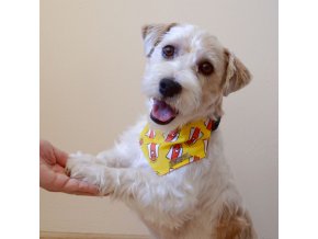 Žlutý psí šátek Dobrý anděl