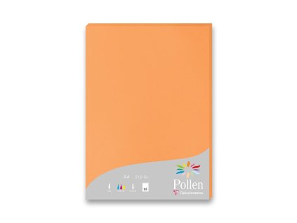 Barevná dopisní karta Clairefontaine A4, 25 ks oranžová, A4