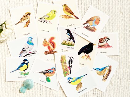 Sada pohlednic - Komplet ptáčci 14 ks