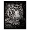 Vyškrabovací obrázek- Tygr - SILF*SILF38