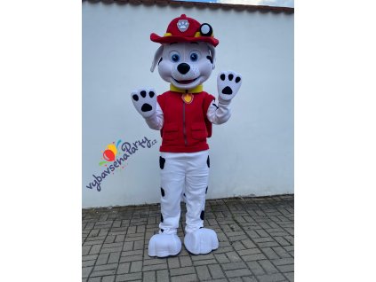 A75C072D 7217 4546 A8D0 B38CCF0B9B6A