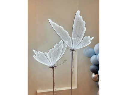 led motýl na pronájem