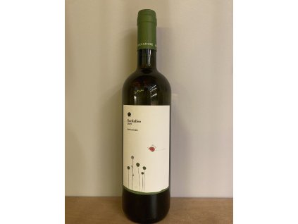 Umbria Grechetto Bianco Fiordaliso IGT Roccafiore