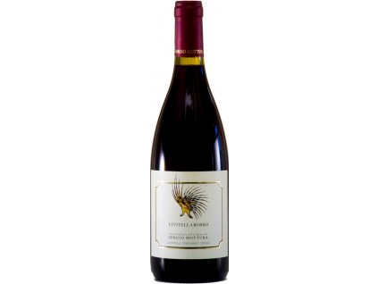 Acivitella rosso