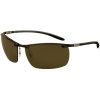 Ray-Ban Carbon Fibre