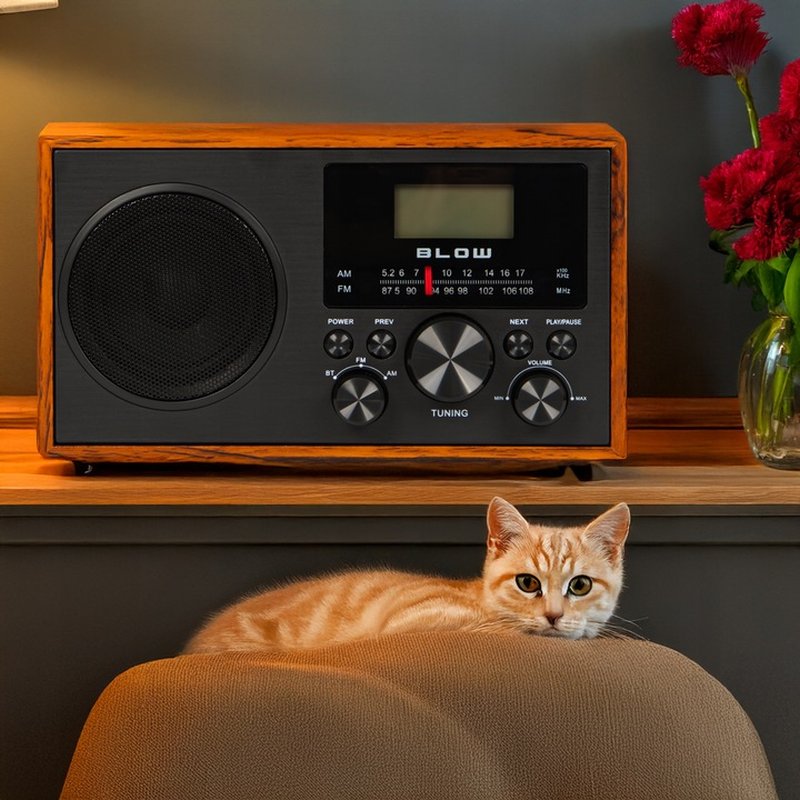 přenosně-analogové-am-fm-radio-blow-ra9-v-2-77538_652