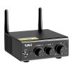 1Mii B08 Plus Hi-Fi zesilovač s Bluetooth 5.0 DAC