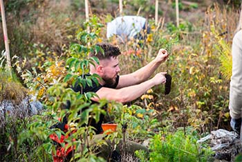 výsadba sázíme česko