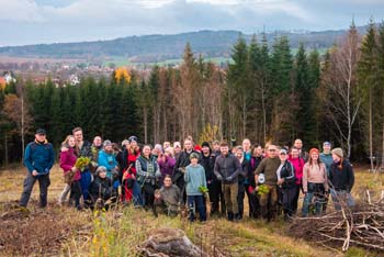 sázení stromů pro firmy