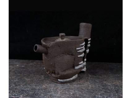 teapot DSC00301