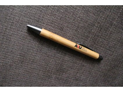 Bamboo Pen