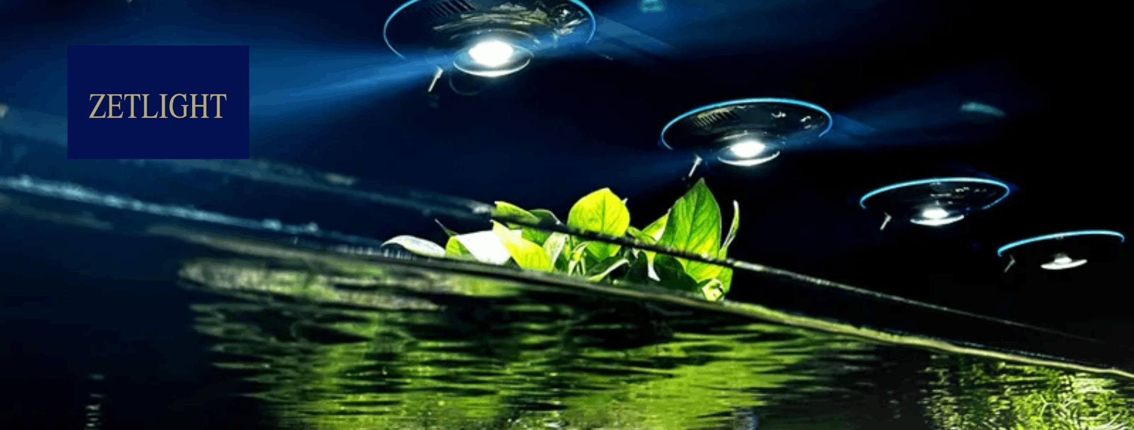 Špičkové osvětlení Zetlight