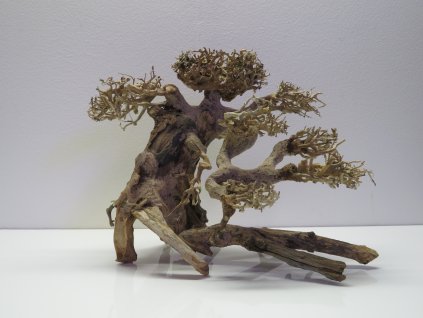 Bonsai wood M (BW40282)