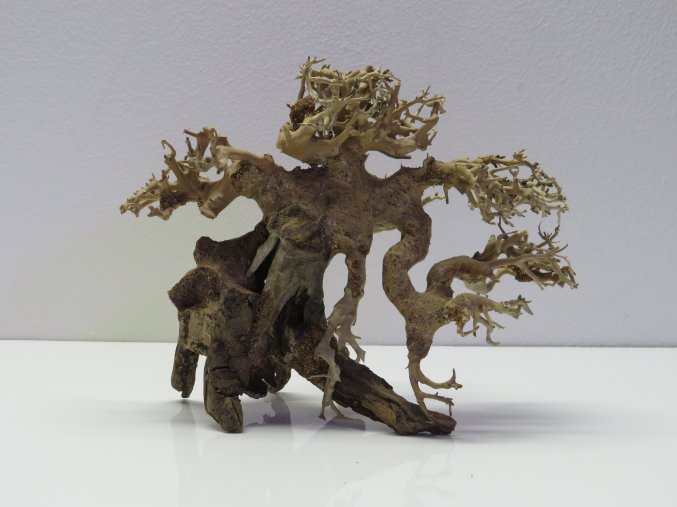 Bonsai wood S (BW35811)