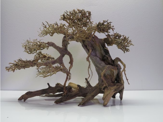 Bonsai wood L (BW40422)